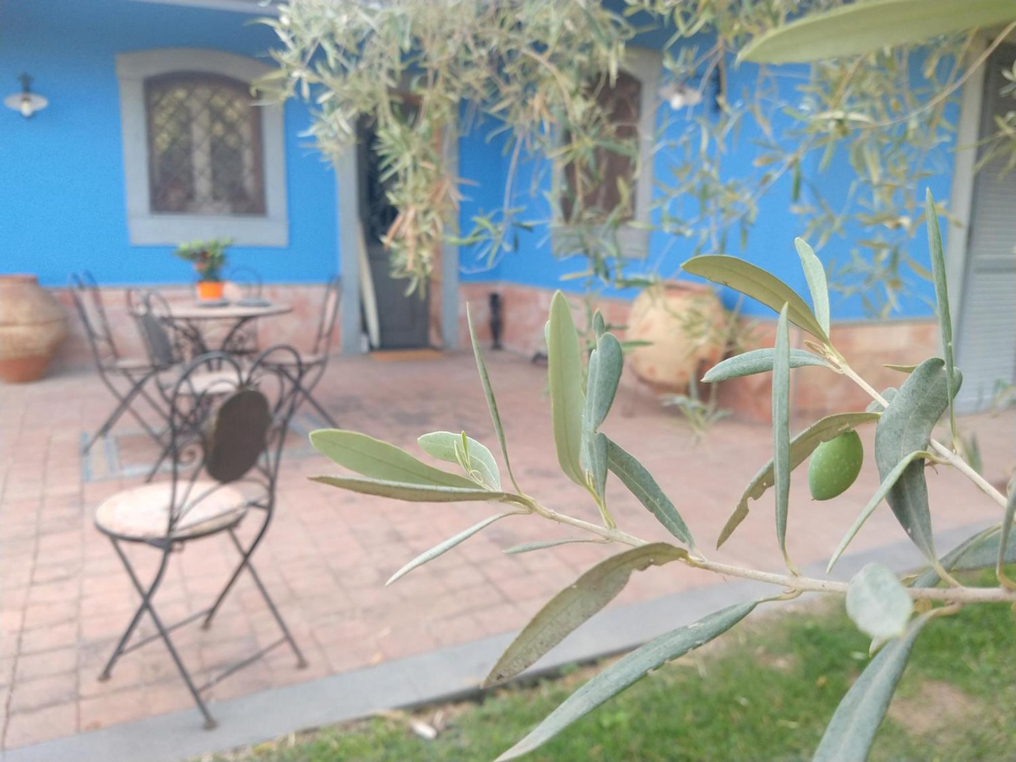 Villa Hephaestus Etna - With Private Pool Ragalna Exterior photo